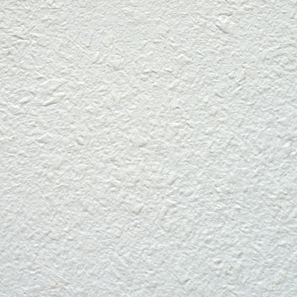 Жидкие обои Юрски Астра 010 Белый