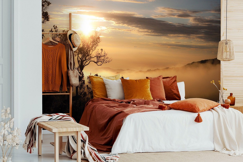 Флизелиновые фотообои Ландшафт Природа Небо 254x184 см Восход солнца над туманным лесом (10137V4)+клей