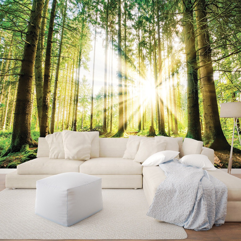 Флизелиновые фотообои в спальню 3д Природа Деревья Ландшафт 368х254 см Восход солнца в зеленом лесу (10143V8)+клей