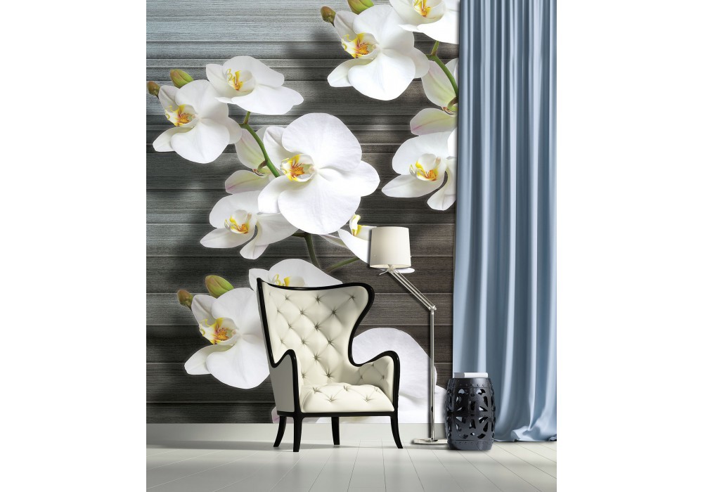 3 д флизелиновые фотообои в спальню цветы 206x275 см Белые орхидеи на фоне серых досок (1015VEA)+клей