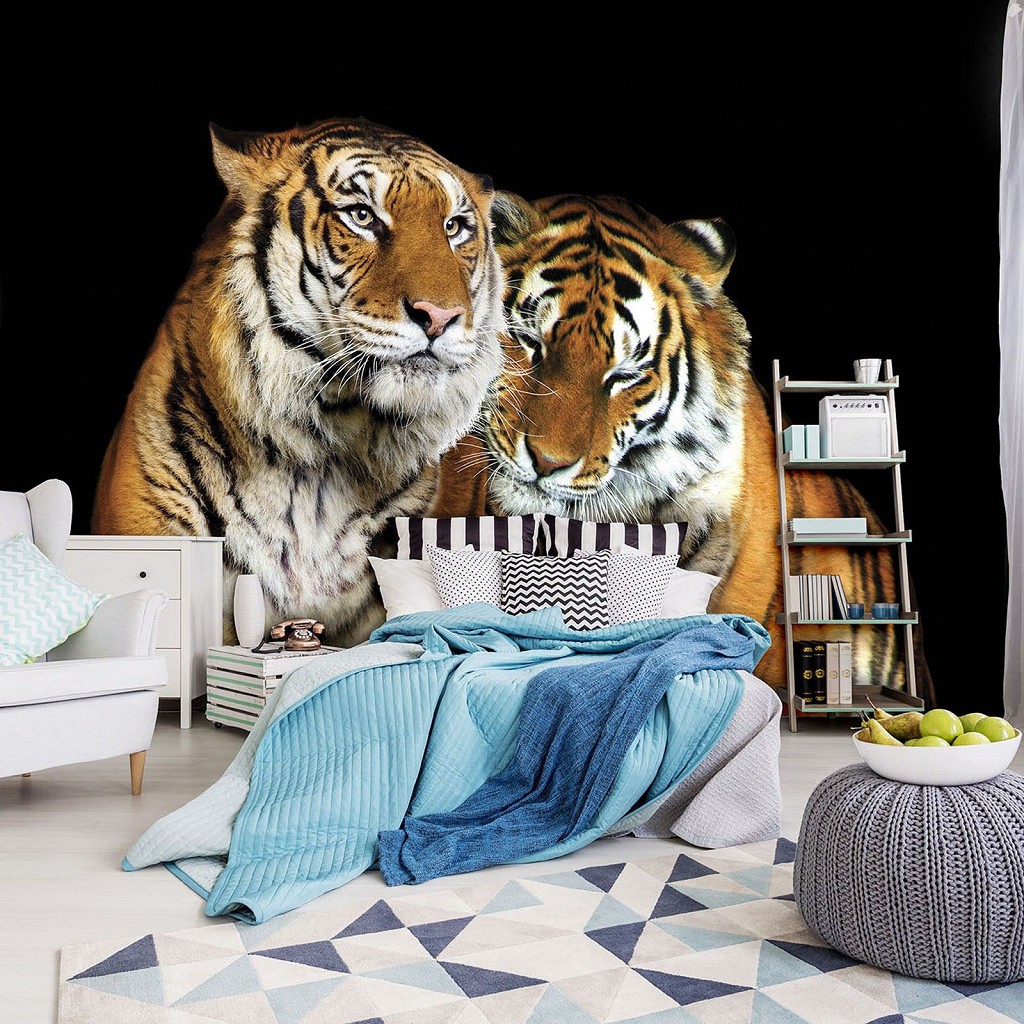 Флизелиновые фотообои 3д животные 416x254 см Два тигра на черном фоне (10173VEXXXL) +клей