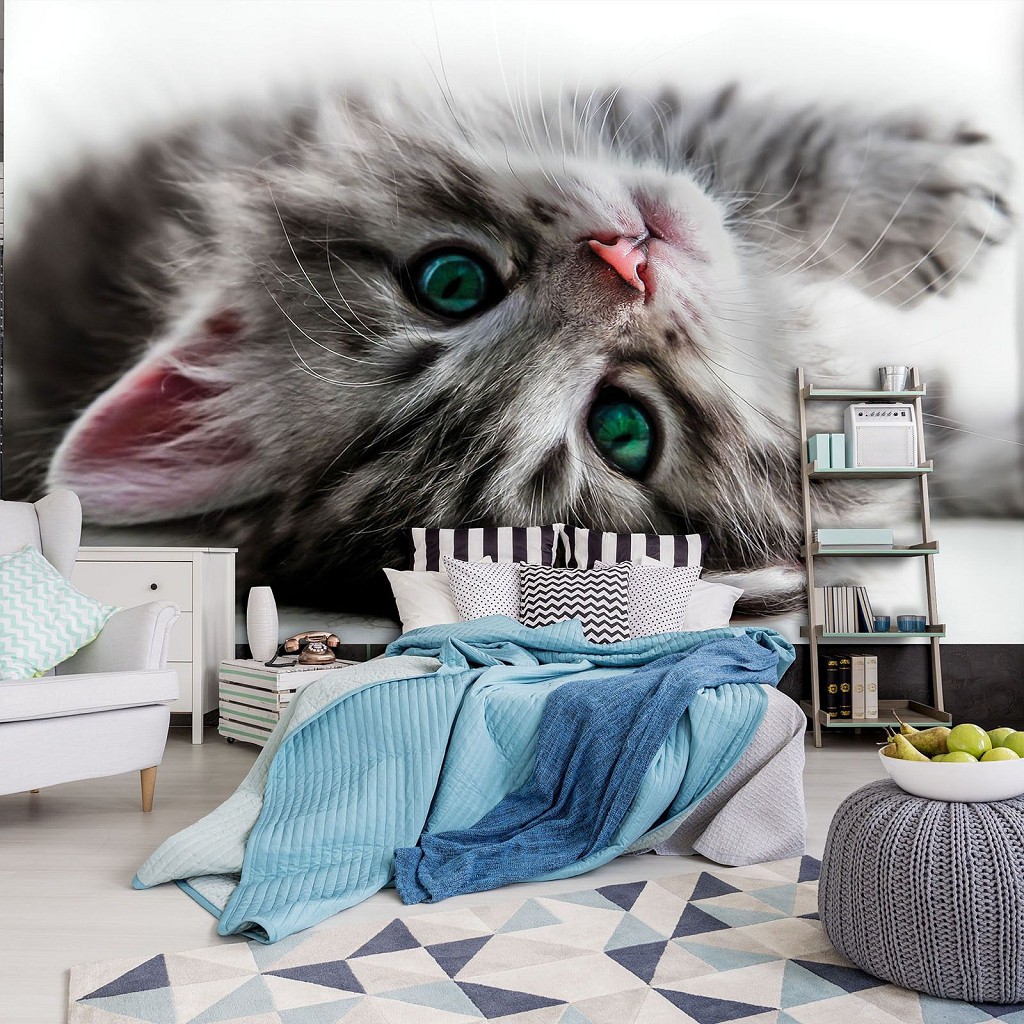 Милі котики флізелінові 3д фотошпалери 368x254 см Кошеня із зеленими очима (10203V8)+клей