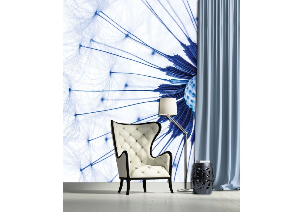 3д флізелінові фотошпалери в інтер'єрі вітальні квіти 206x275 см макрозйомка синього кульбаби на білому тлі (1024VEA)+клей