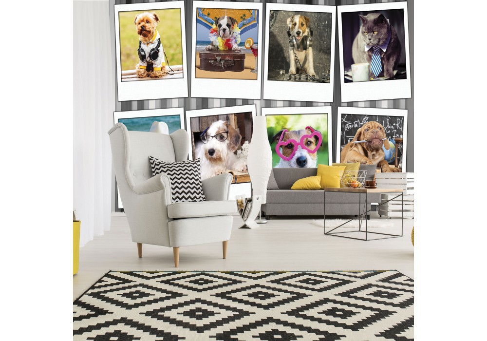 Милі тварини флізелінові фотошпалери 368x280 см Фотографії Веселих Домашніх Тварин (10454V10) +клей