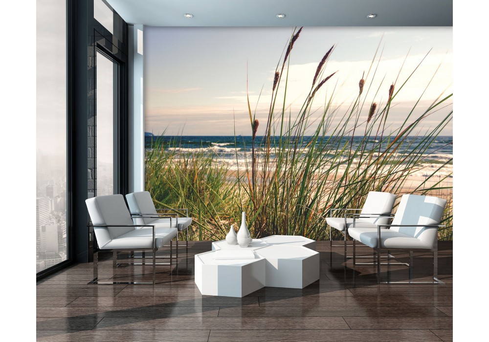 Флизелиновые фотообои с природой 520x318 см 3D Прибрежная трава (10669VEXXXXXL) +клей