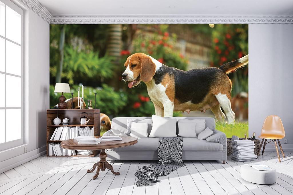 Флізелінові фотошпалери 3д тварини 254x184 см Собака (11375V4)+клей