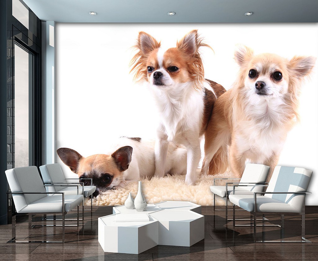 Флизелиновые фотообои в гостиную природа 368x254 см Собаки (11377V8)+клей