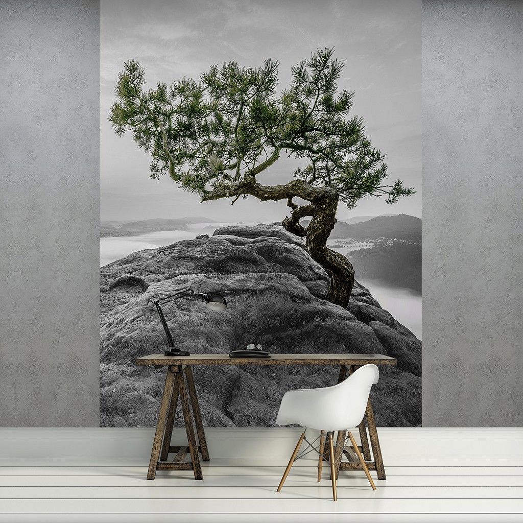 Флизелиновые 3D фото обои с камнями 184x254 см Дерево на скале (11759V4A)+клей