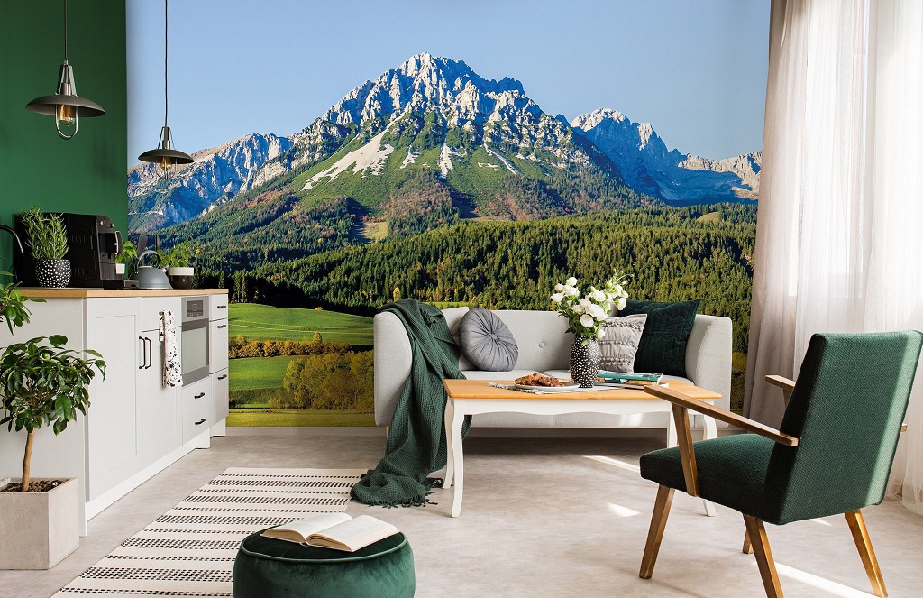 Фотошпалери 3д флізелінові 254x184 см Висока гора за лісом (12109V4)+клей