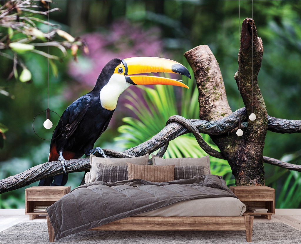 3д флизелиновые фотообои природа 460x300 см Птицы Тукан Экзотические Джунгли (12222V12) +клей