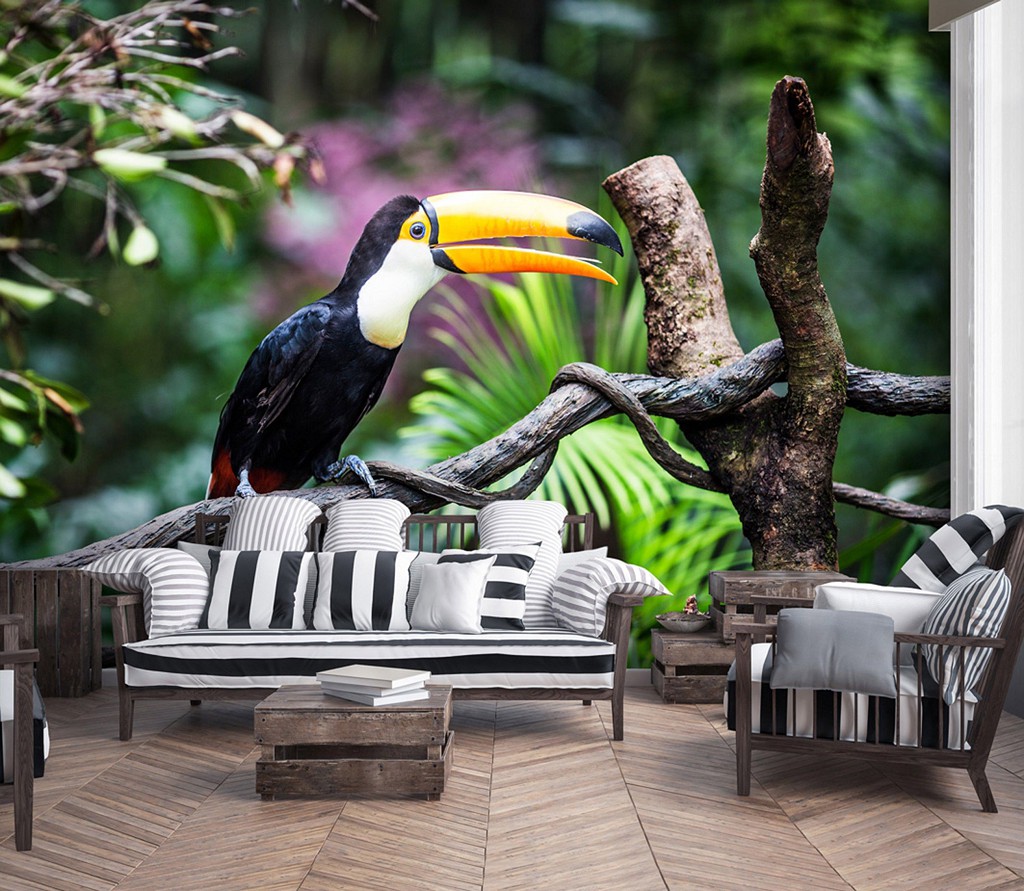 Флізелінові 3д фотошпалери 368x254 см Птахи Тукан Екзотичні Джунглі (12222V8) +клей