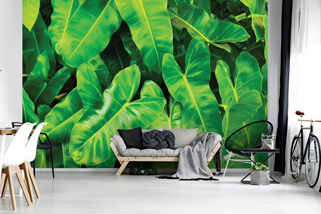 Флизелиновые фотообои Природа Ботанические 3Д Большие зеленые листья (12371V)+клей