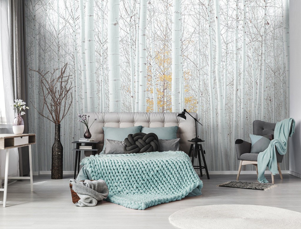 Природа флізелінові фотошпалери 368x254 см Вид на білий березовий ліс (12593V8) +клей