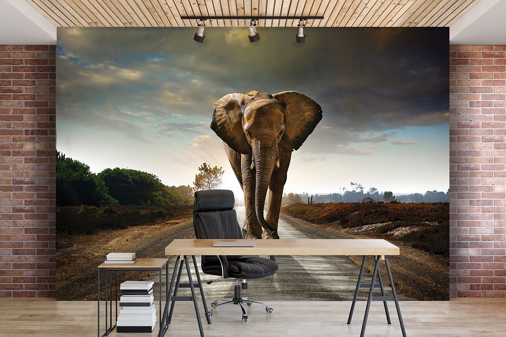 Флізелінові фотошпалери на стіну 312x219 см 3D Слон на дорозі Тварини Природа Ландшафт (12616VEXXL)+клей