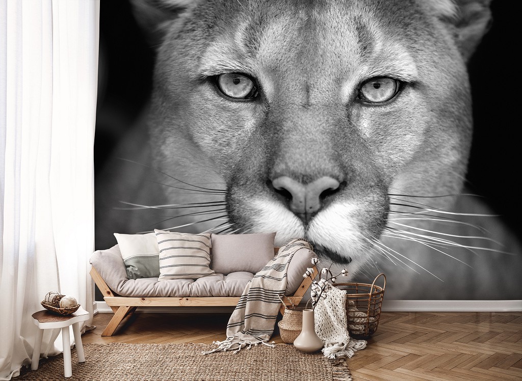 Флизелиновые фото обои животные 254x184 см Черно-белая львица (12718V4)+клей