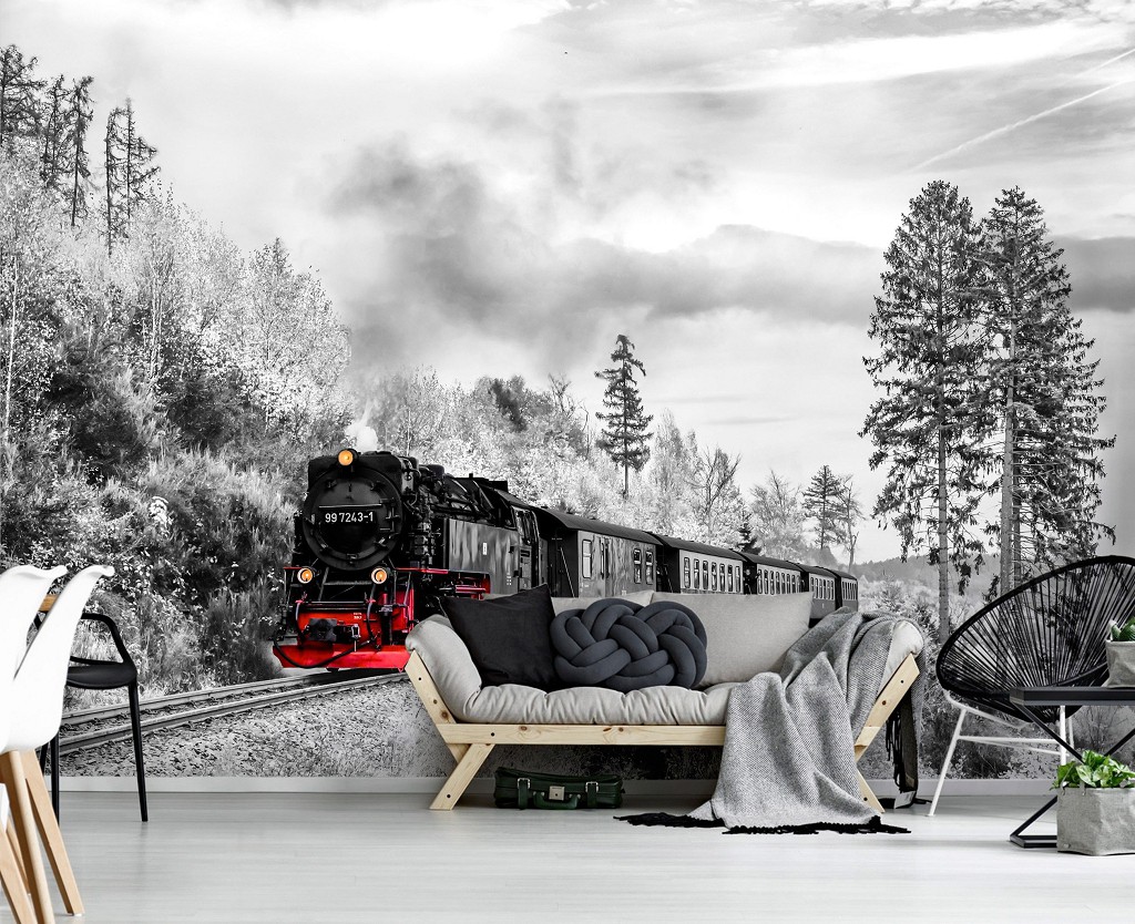 Сніг флізелінові фотошпалери 416x290 см Транспорт Потяг Чорно-Білий Паровоз (13010VEXXXXL)+клей