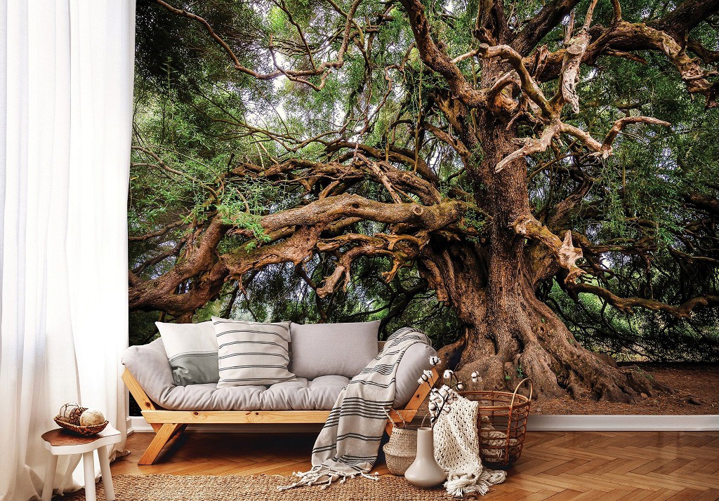 Флизелиновые 3D фотообои природа 254 x 184 см Ветвистое дерево (13011V4)+клей