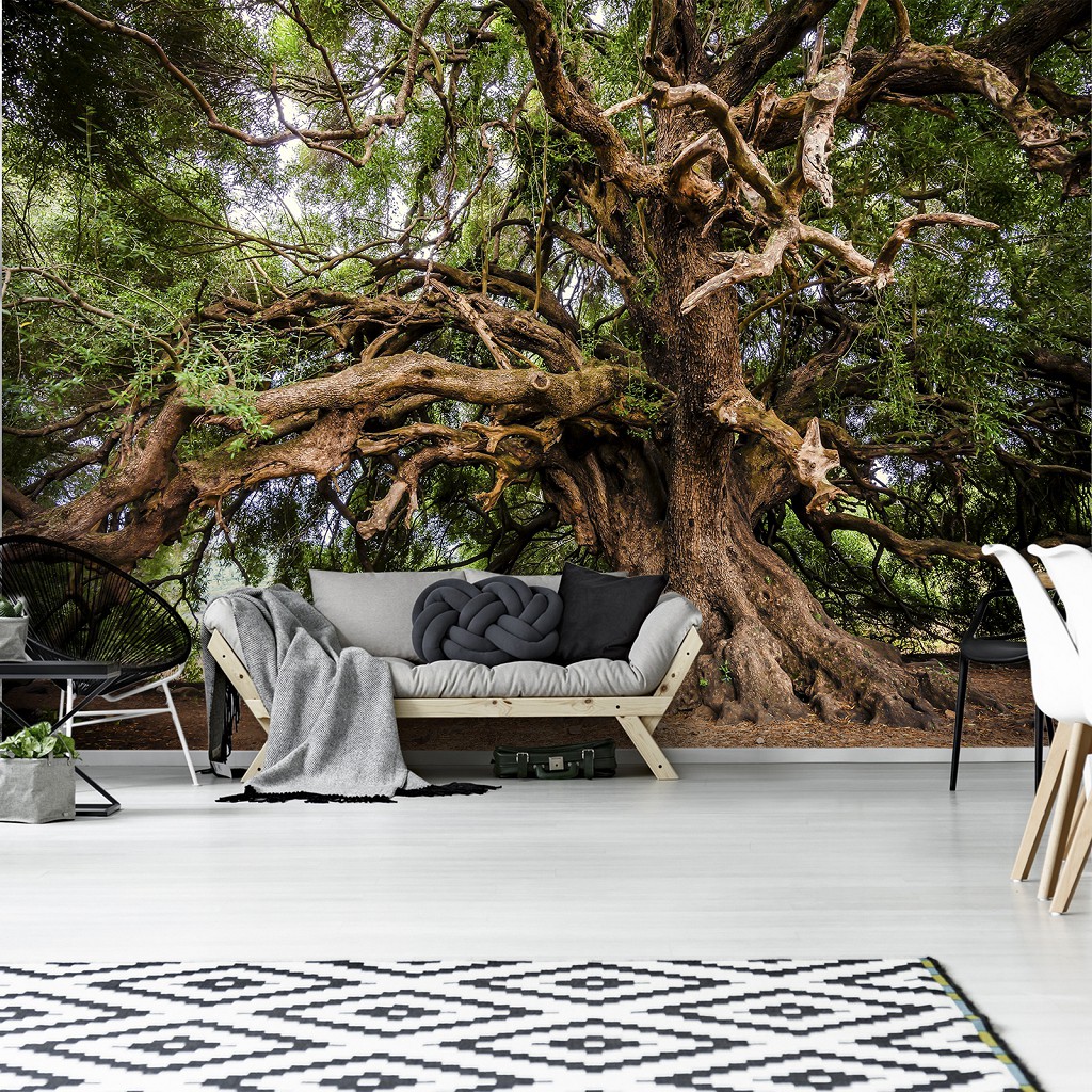 Флізелінові 3D фотошпалери красиві 416x254 см Природа - Гіллясте дерево (13011VEXXXL)+клей