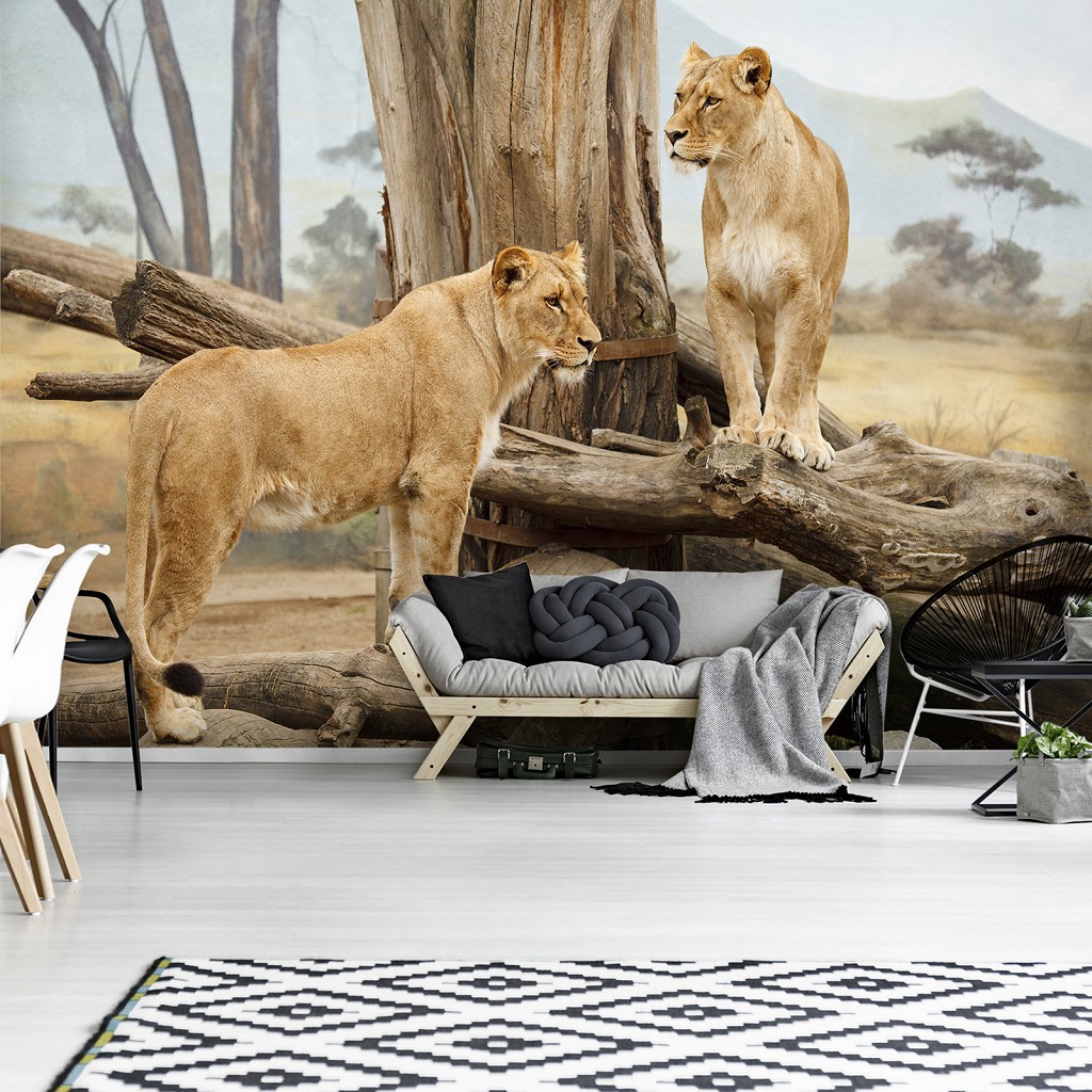 3D Флизелиновые фотообои с деревьями на стену 416 x 254 см Животные - Могучие львицы (13014VEXXXL)+клей