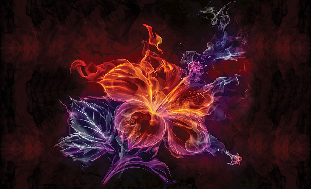 Флізелінові фотошпалери для вітальні фото 312x219 см Вогняна квітка на темному тлі (1308VEXXL)+клей