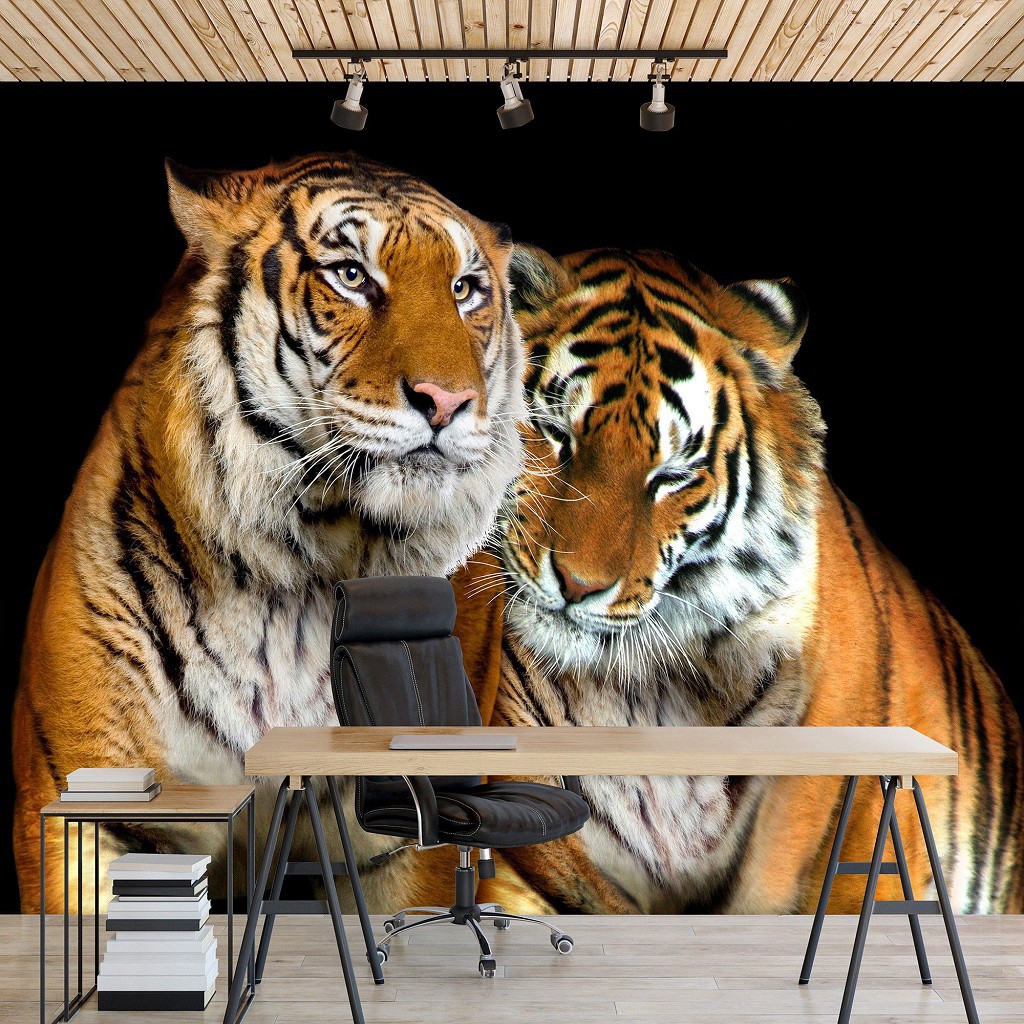 Флизелиновые фотообои в кухне гостиной 3D Животные 416 х 254 см Два тигра Кошки Дикая природа (130VEXXXL)+клей