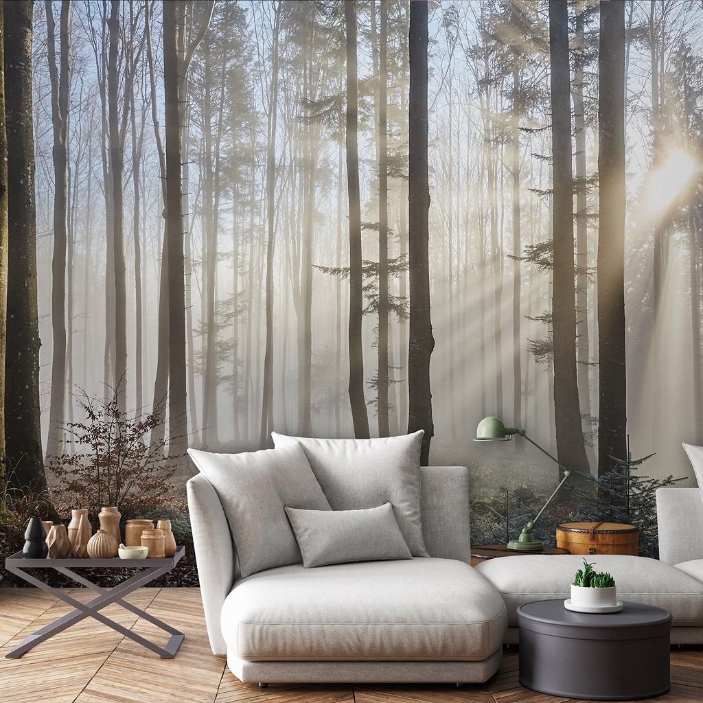 Флізелінові 3D фотошпалери 312x219 см Природа - Туман крізь світлий ліс (13136VEXXL)+клей