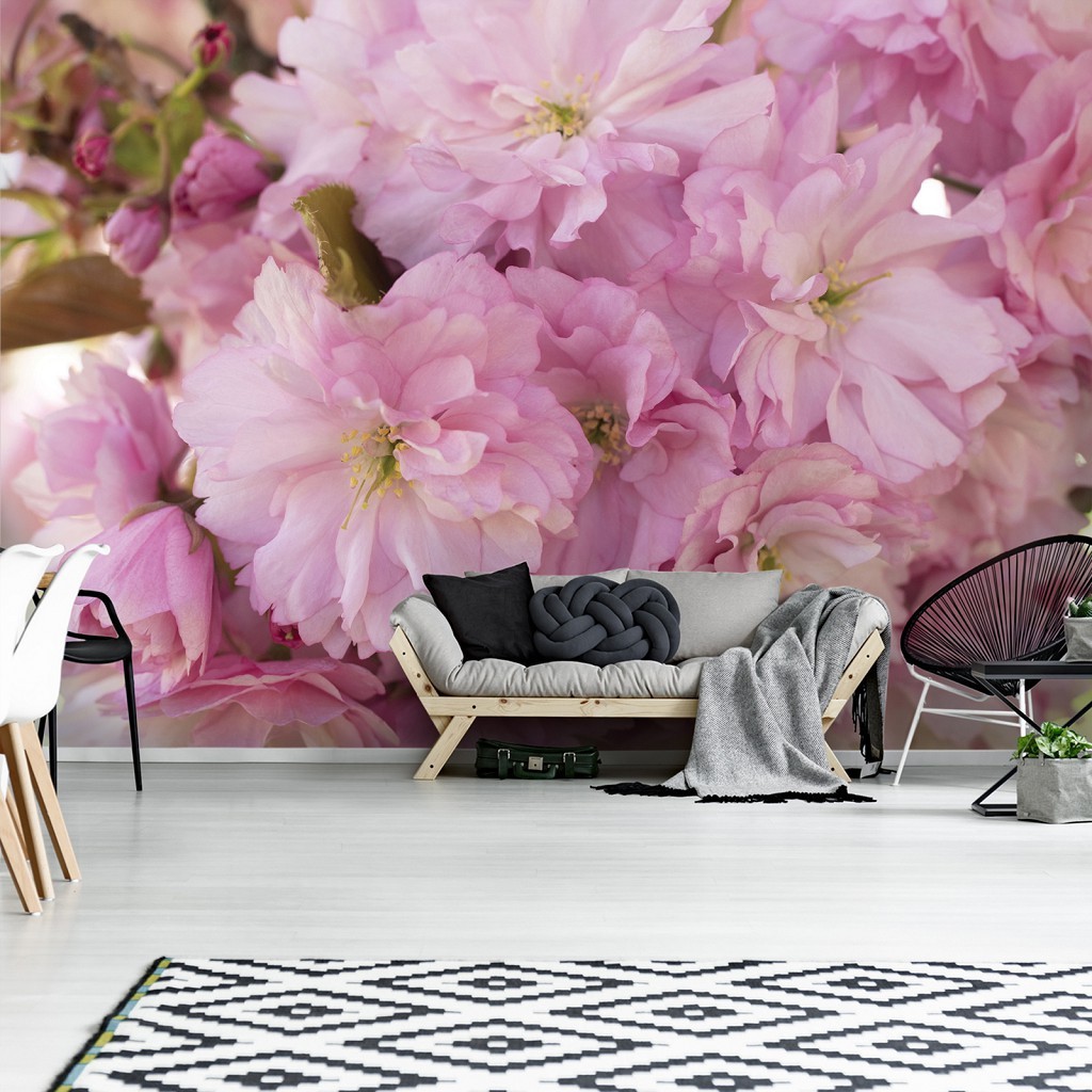 Флізелінові фото шпалери 312 x 219 см 3D великі рожеві квіти сакури (13282VEXXL)+клей