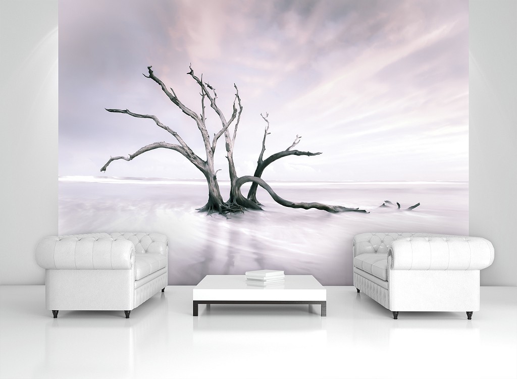 3D Флизелиновые фотообои с облачками 312 x 219 см Пейзаж - Одинокое дерево пустыни (13310VEXXL)+клей