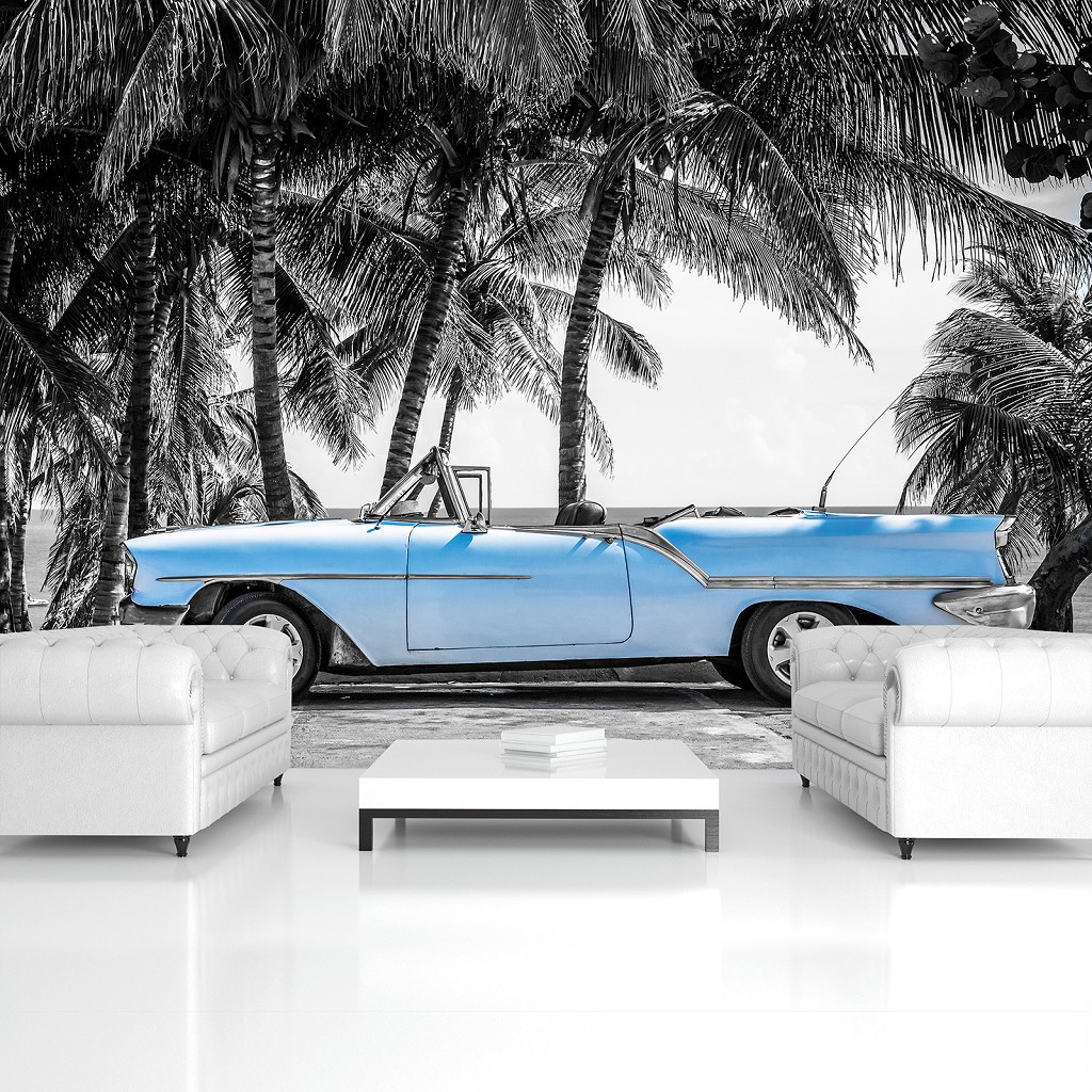 Флизелиновые 3D фото обои лето пляж 254 x 184 см Транспорт - Старая голубая машина на стоянке (13336V4)+клей