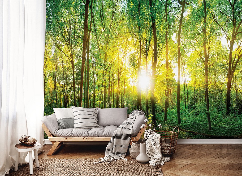 3D дерево на флізелінових фото шпалерах 368x280 см Природа - Весняний ліс у променях сонця (13461V10)+клей