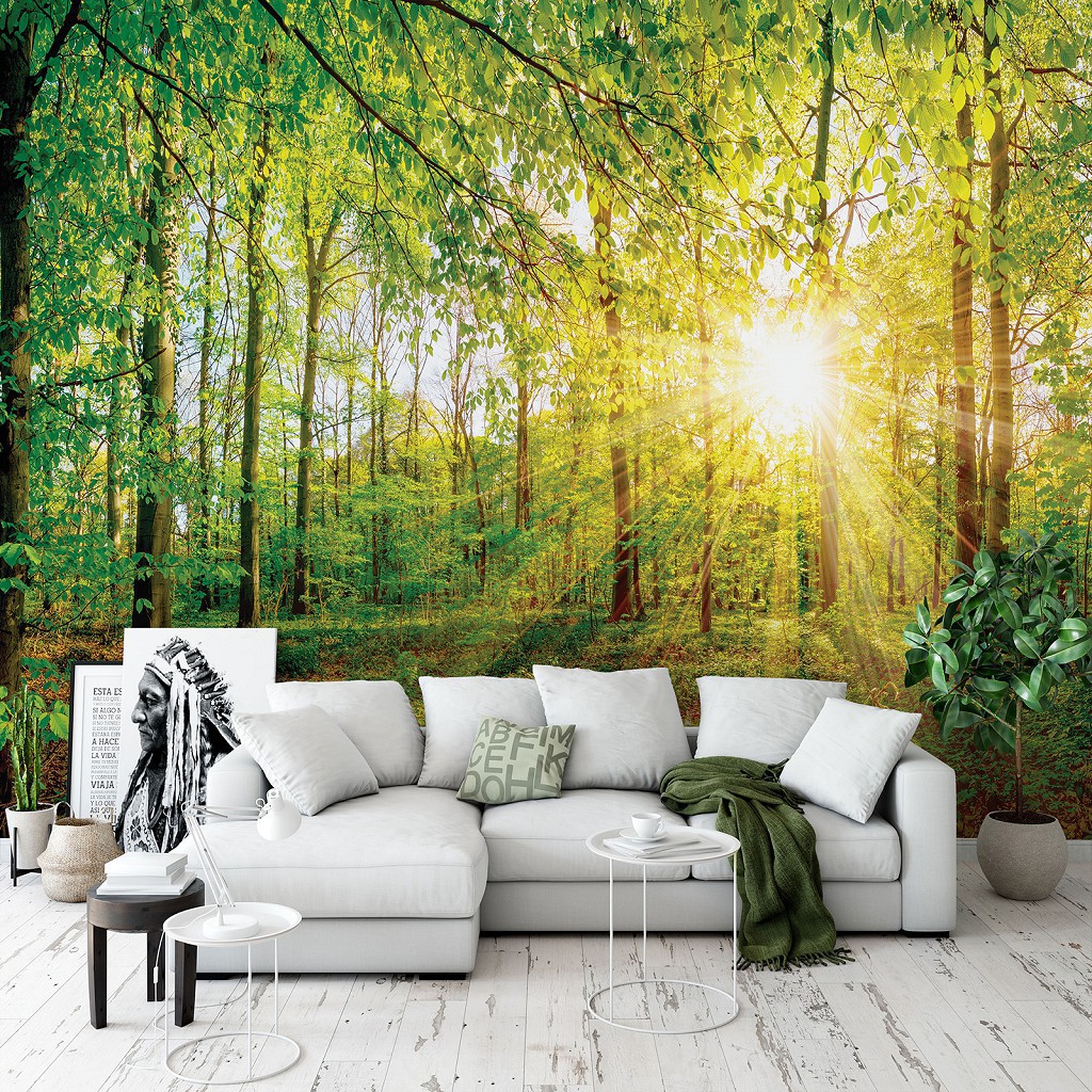 Флизелиновые фотообои в спальню 3D деревья 416 x 254 см Природа - Весенний лес в лучах солнца (13462VEXXXL)+клей