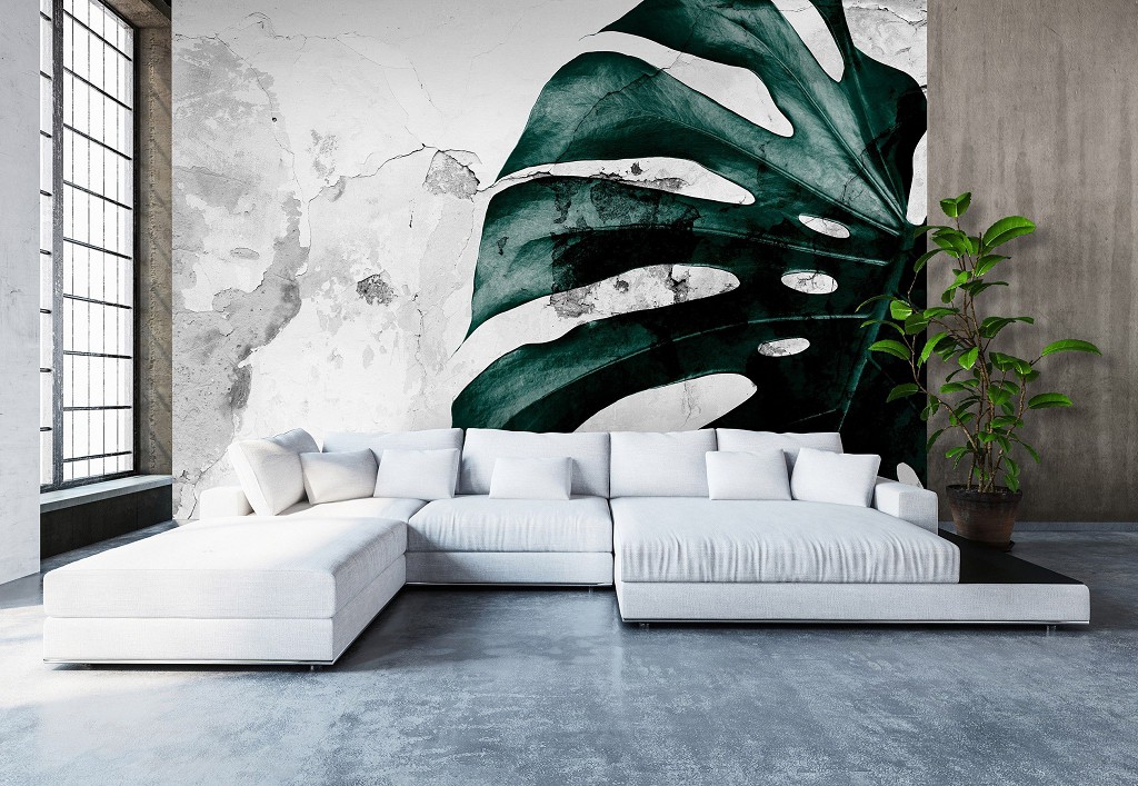 Флізелінові фотошпалери квіти на стіні 416x254 см Монстери листя на бетоні (13516VEXXXL)+клей