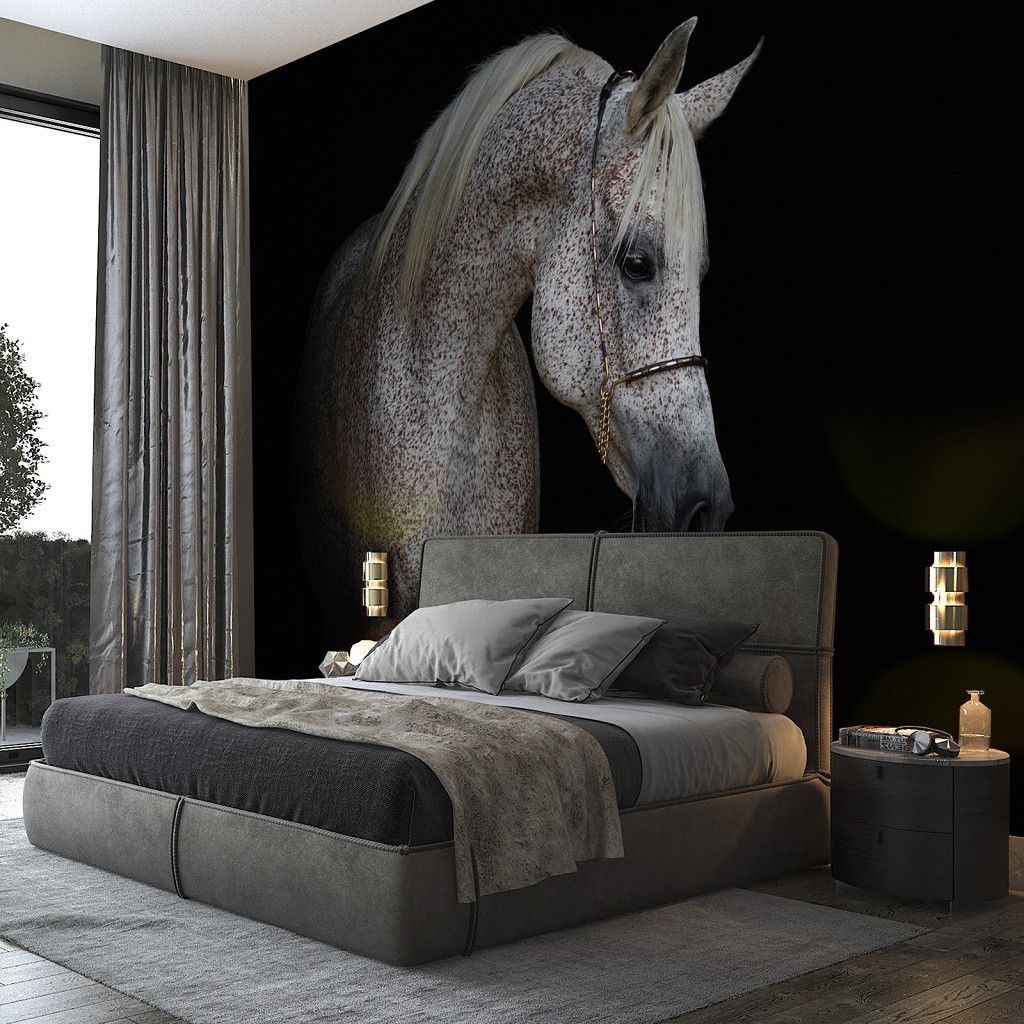 Флизелиновые фотообои в спальню над кроватью 368x254 см Животные - Бело-серая лошадь на черном фоне (13596V8)+клей