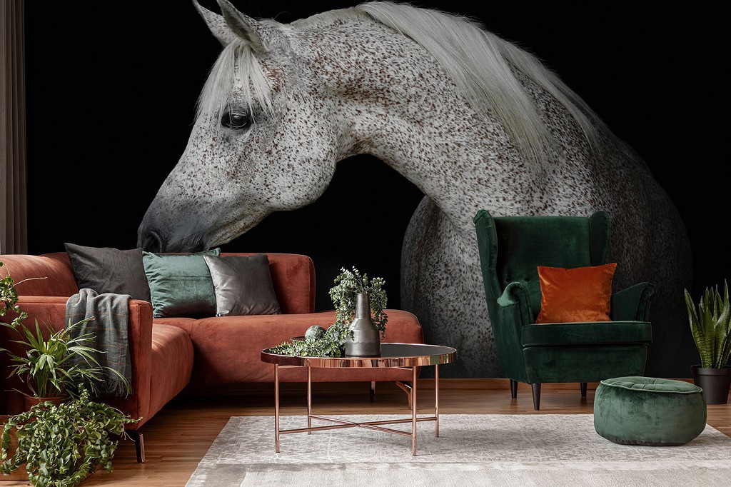 Флізелінові фотошпалери 368x280 см Тварини - Сірий кінь на чорному тлі (13597V10)+клей