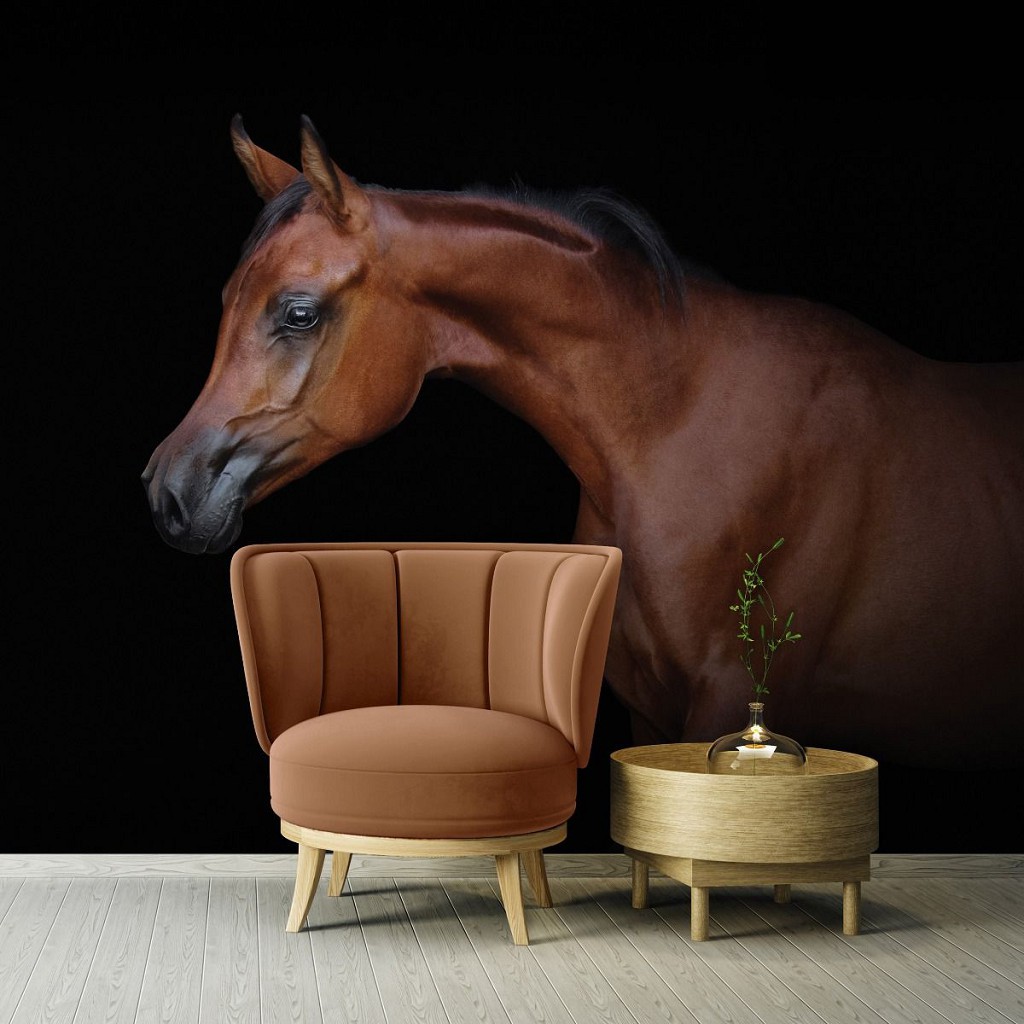 Флизелиновые фотообои для спальни 312 x 219 см Животные - Коричневая лошадь на черном фоне (13601VEXXL)+клей