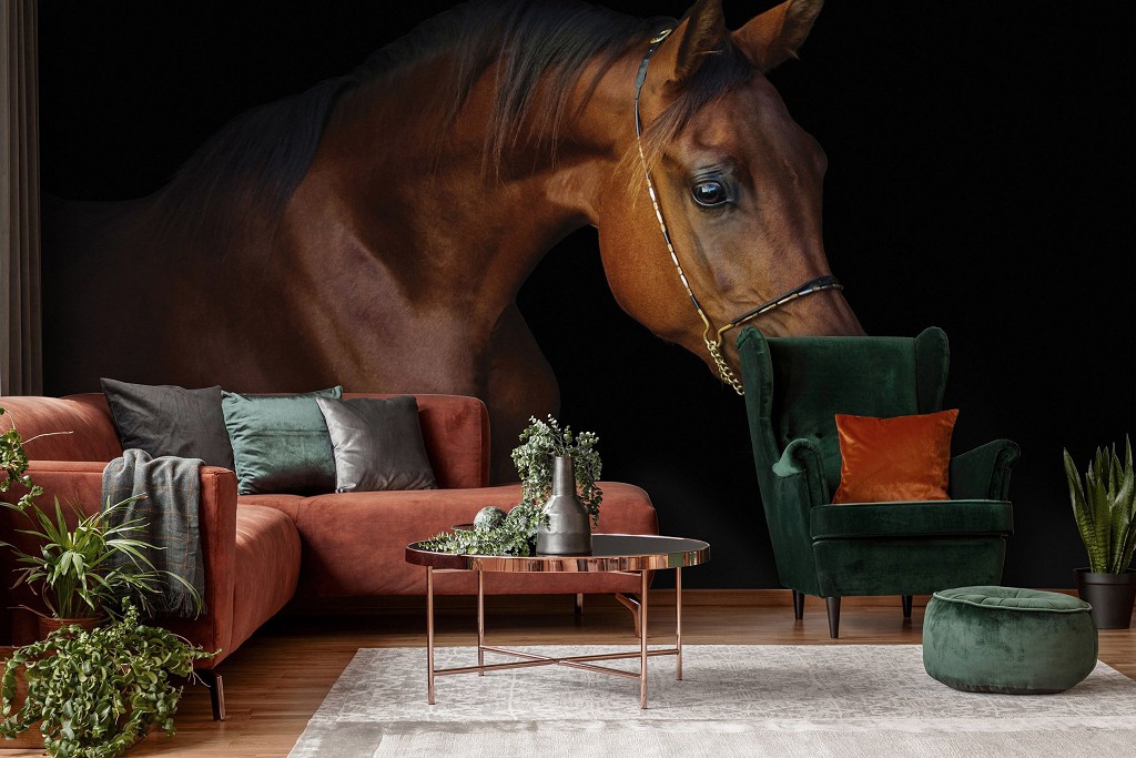 Флізелінові 3Д фотошпалери до спальні 368x254 см Тварини - коричневий кінь на темному тлі (13602V8)+клей