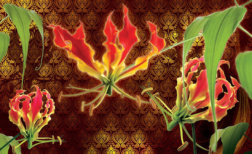 Флізелінові фотошпалери у спальню 368x254 см Квіти глоріози (1389V8)+клей