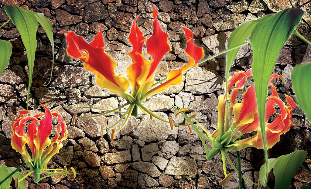 Флизелиновые фотообои в кухне гостиной 312x219 см Цветы глориозы (1392VEXXL)+клей