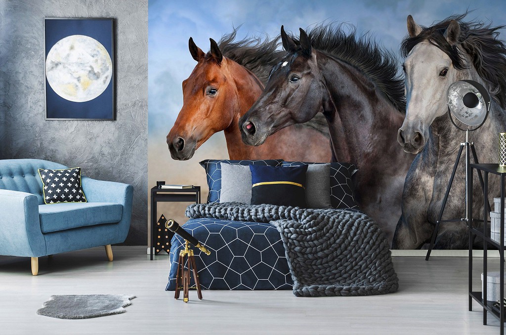 Флізелінові 3д фотошпалери для кухні 416x290 см Тварини Коні Скачають Дикі Коні (14137VEXXXXL) +клей