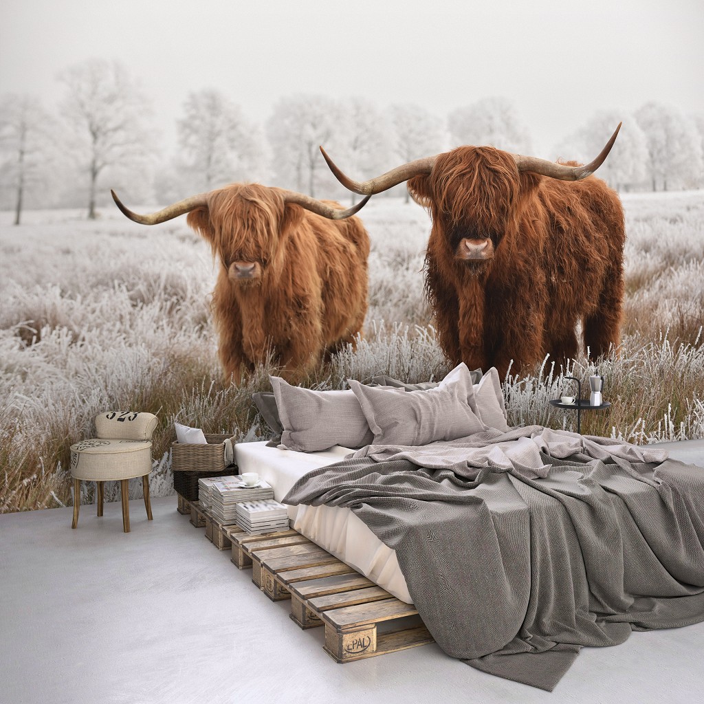 Флізелінові фотошпалери 3D краєвид 416x254 см Тварини Природа Шотландські Корови Ландшафт (14169VEXXXL)+клей