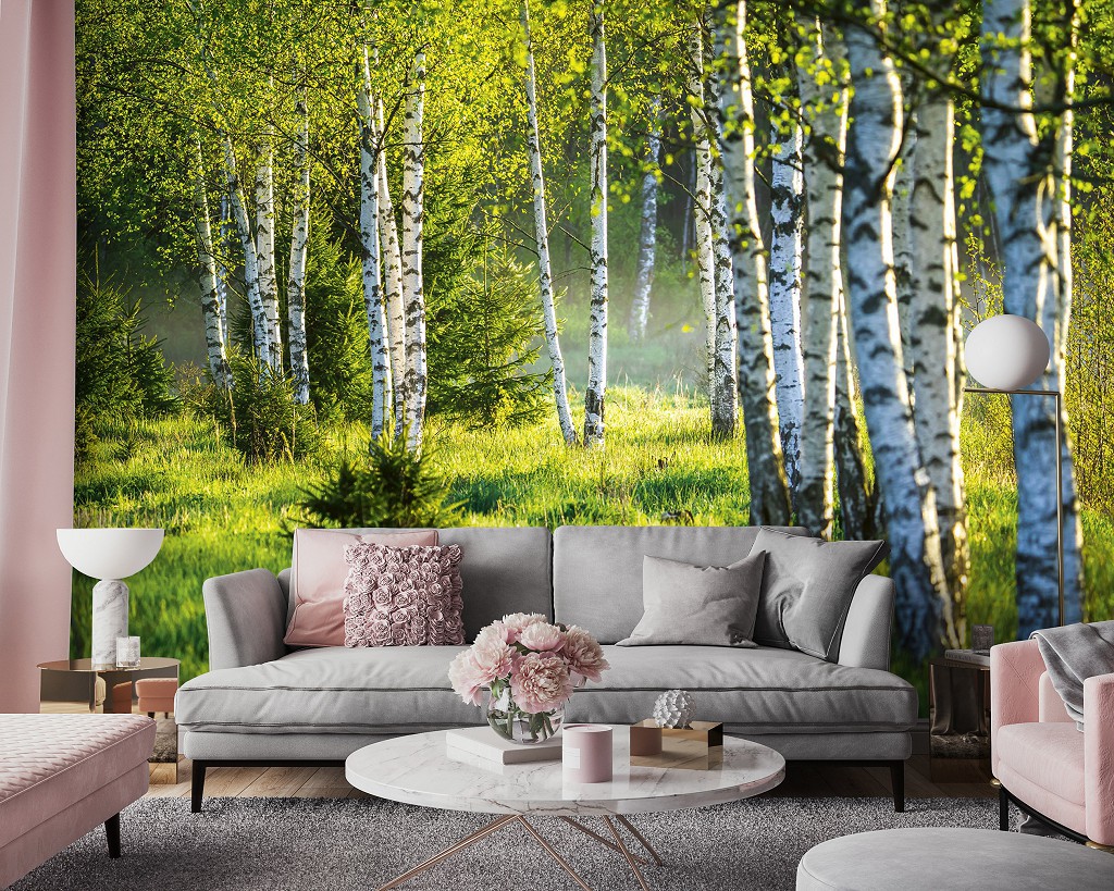 Флизелиновые фотообои 254x184 см Деревья 3D Природа Березовый лес и зеленая трава (14174V4)+клей