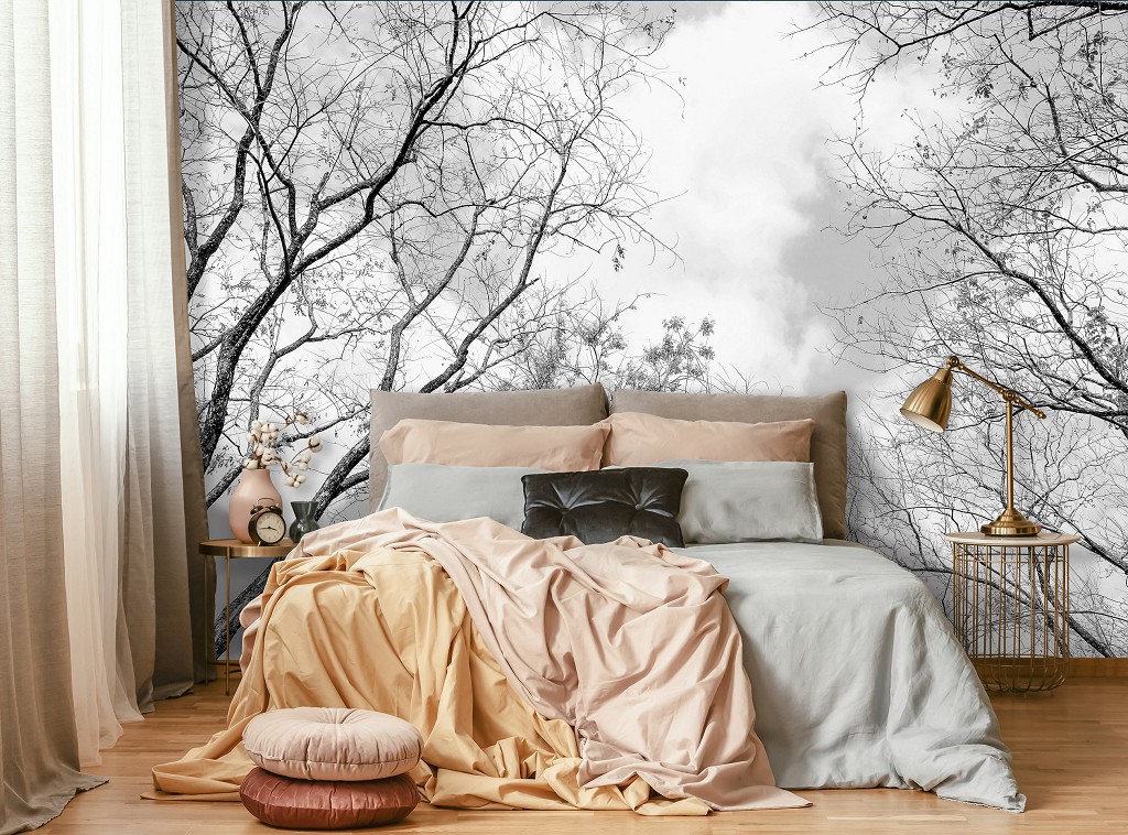 Флізелінові фотошпалери хмари в інтер'єрі 368x254 см Чорно-білий ліс Природа Дерева Небо Гілки (14184V8)+клей