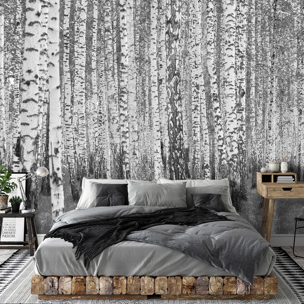 Красиві флізелінові фотошпалери на кухню 312x219 см Природа Ліс Чорно-Біла Береза (14211VEXXL)+клей
