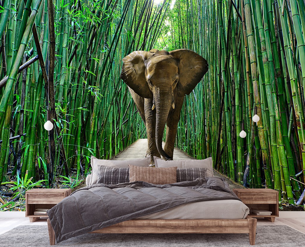 Флізелінові фотошпалери 3D природа 416x254 см Тварини слон в бамбуковий ліс (14344VEXXXL)+клей