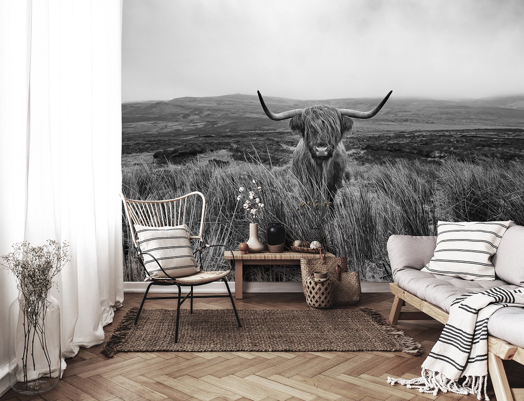 Флізелінові фотошпалери чорно-біла природа 416x254 см Шотландська гірська корова (14499VEXXXL)+клей