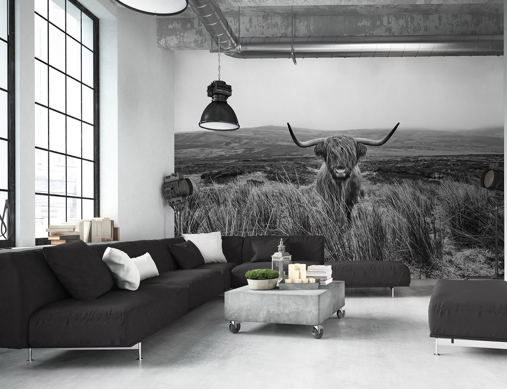 Природа черно-белая флизелиновые фотообои 416x290 см Шотландская горная корова (14499VEXXXXL)+клей