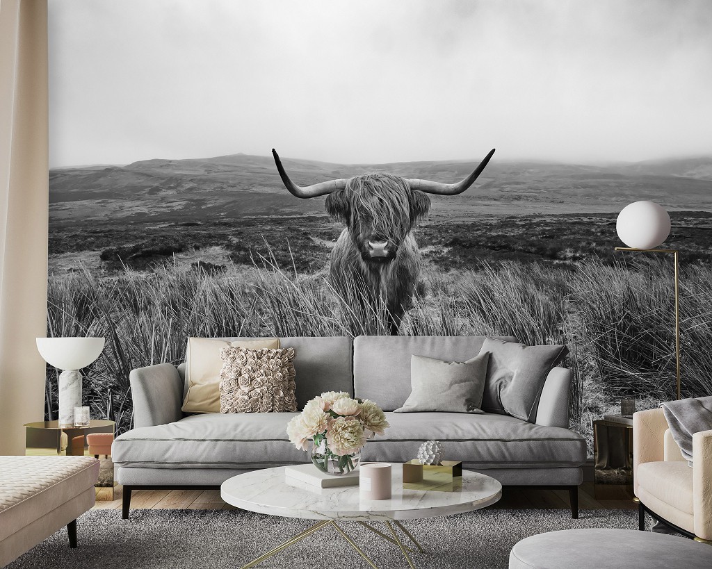 Красивые флизелиновые фотообои черно-белая природа 520x318 см Шотландская горная корова (14499VEXXXXXL)+клей