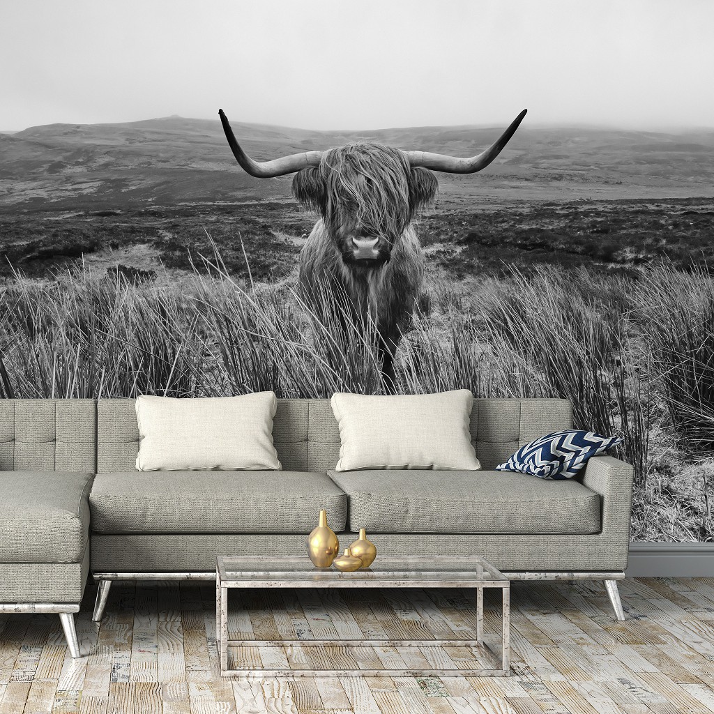 Флізелінові фотошпалери чорно-біла природа 312x219 см Шотландська гірська корова (14499VEXXL)+клей