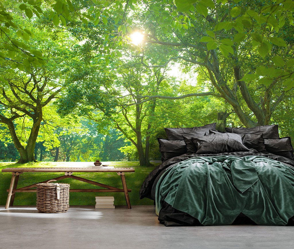 Флизелиновые фотообои 3Д 312x219 см Природа лес парк деревья (14529VEXXL)+клей