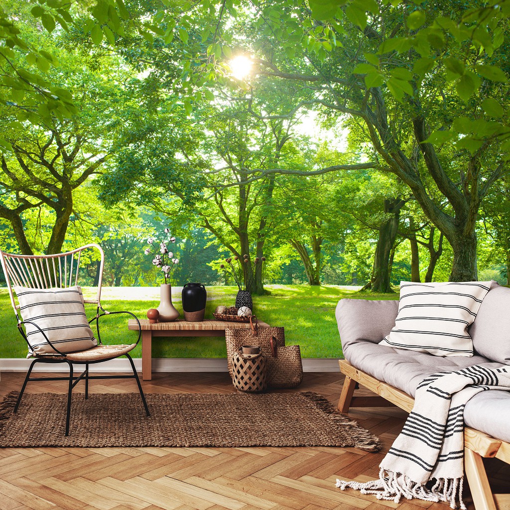 Флізелінові фотошпалери 3Д 416x254 см Природа ліс парк дерева (14529VEXXXL)+клей